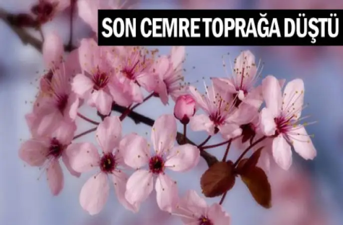 3. Cemre toprağa düştü