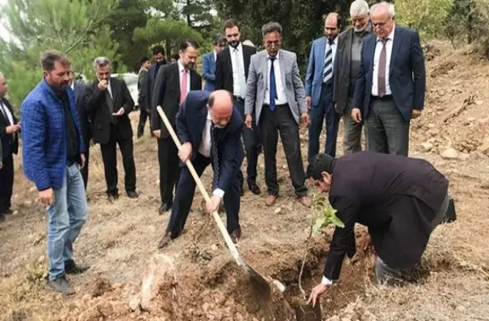 Müftüler ağaç dikti