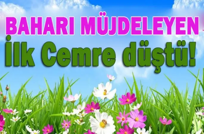 İlk Cemre bugün havaya düşdü