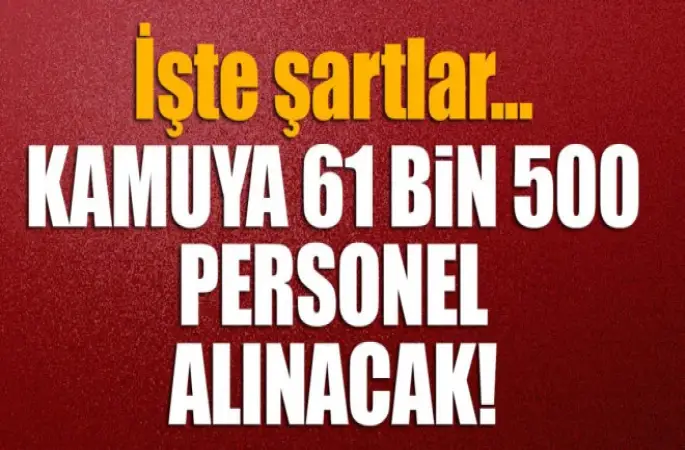 Kamuya personel alınacak!