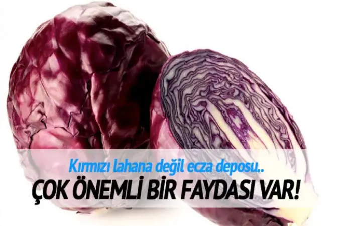 Kırmızı lahananın En Önemli Faydası
