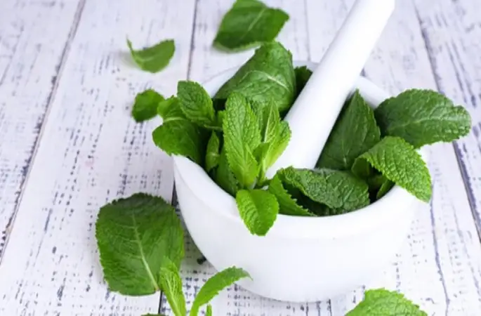 Bu Naneyi Mutlaka Yiyin!