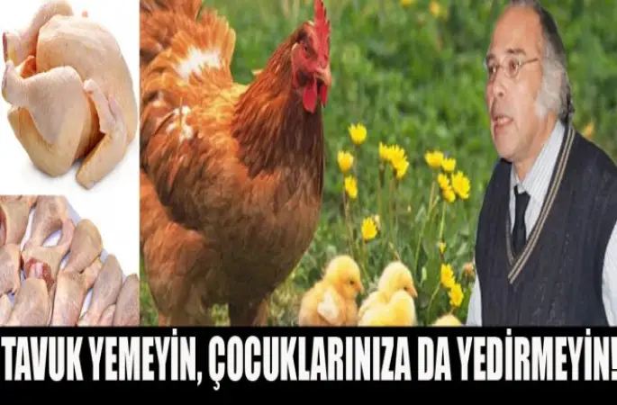 Tavuk Yemeyin, Çocuklarınıza da Yedirmeyin
