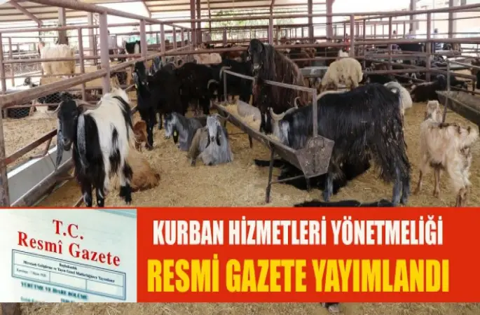 2017 Yılı Kurban Hizmetleri Yönetmeliği Resmi Gazete Yayımlandı
