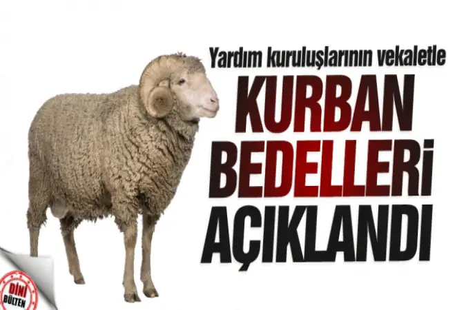Yardım kuruluşlarının vekaletle kurban bedelleri açıklandı