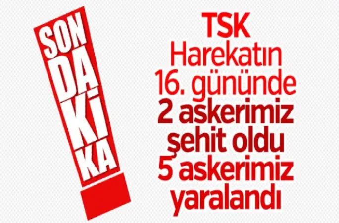 Zeytin Dalı Harekatı'nda 2 askerimiz şehit oldu