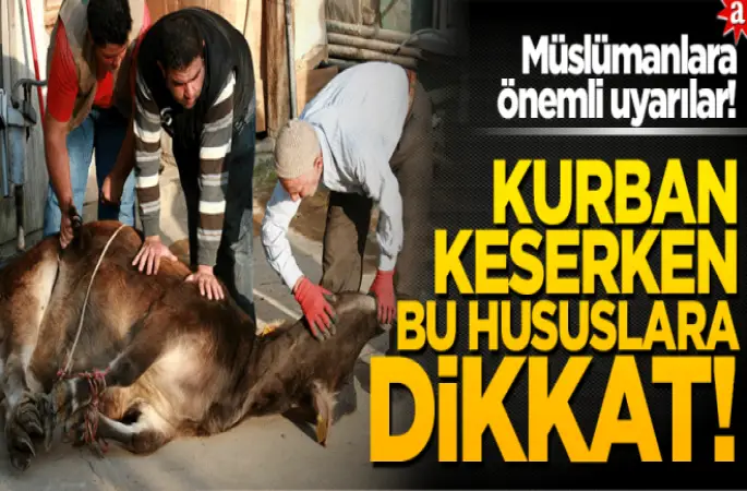 Müslümanlara önemli uyarılar! Kurban keserken bu hususlara dikkat