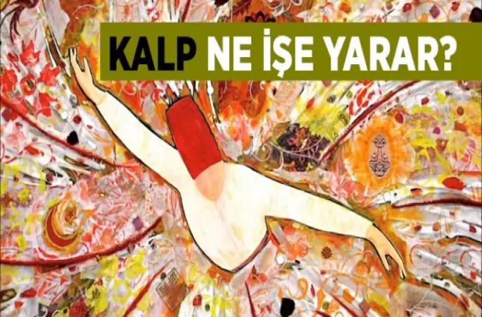 Kalp Ne İşe Yarar?