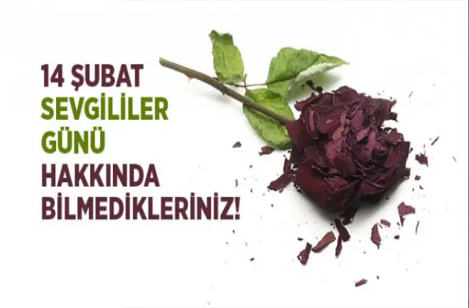 14 Şubat Sevgililer Gününün Gerçek Tarihi