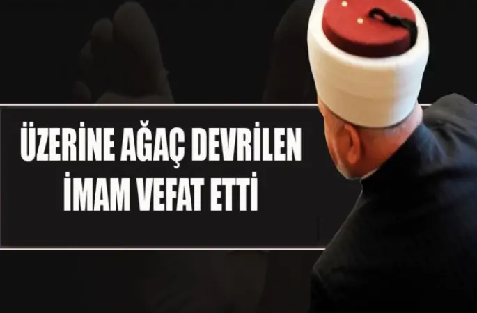 Üzerine Ağaç Devrilen İmam Erseymen Öldü
