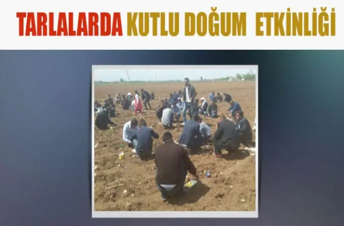 Tarlalarda Kutlu Doğum