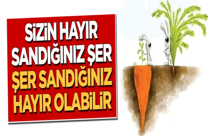 Her hayırda bir şer, her şerde bir hayır vardır...