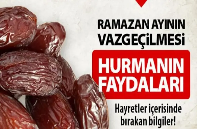 Hurmanın Faydaları