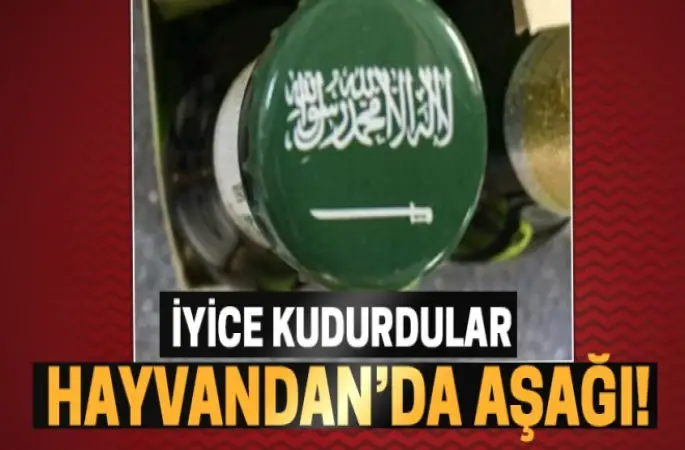 Hayvandan da aşağı...