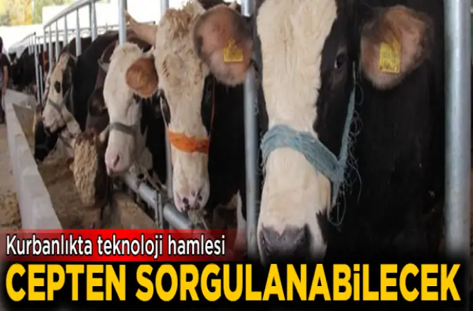 Kurbanlıkta teknoloji hamlesi!