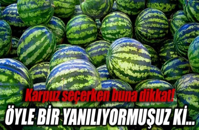 Mükemmel karpuzu seçerken dikkat etmeniz gerekenler...