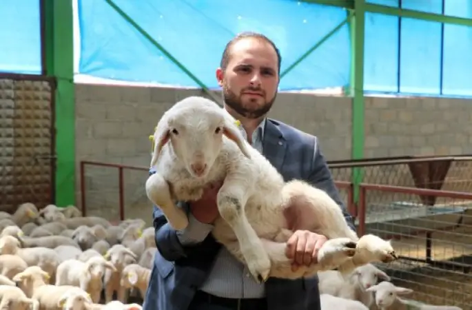 Cami imamı, görev yaptığı ilçeye koyun çiftliği kurdu!