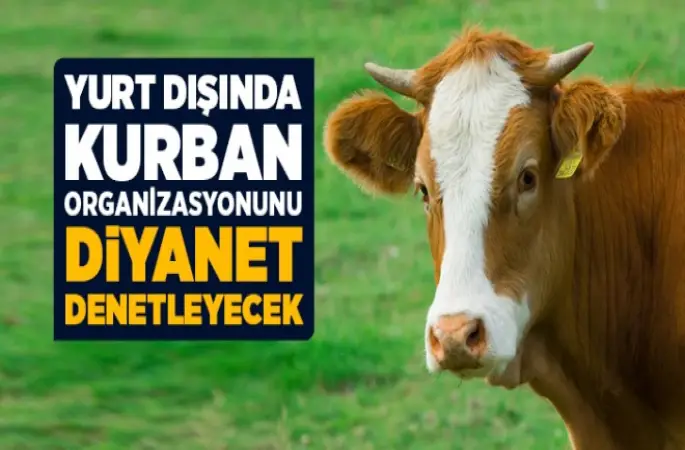 Yurt Dışında Kurban Organizasyonunu Diyanet Denetleyecek