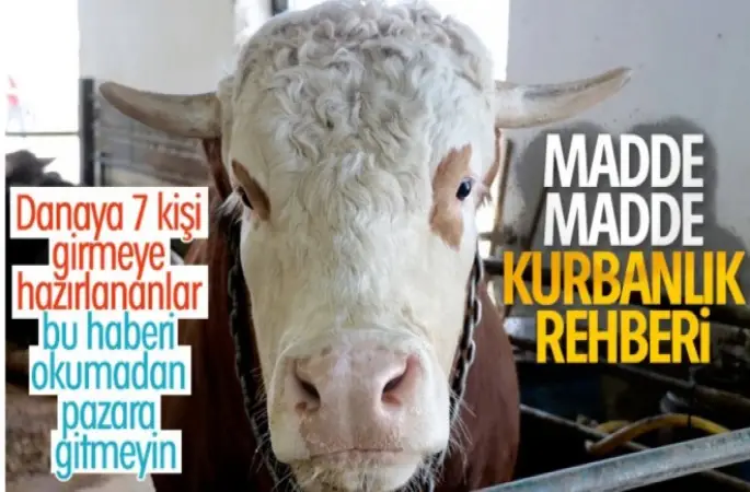 Kurbanlık Rehberi...Kurban Bayramı geliyor...