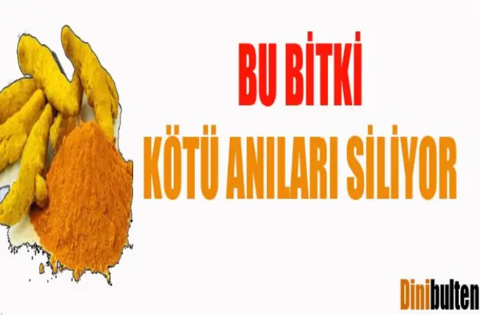 Zerdeçal ,kötü anıları siliyor