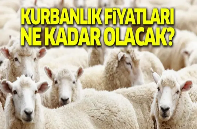 Kurbanlık fiyatları ne kadar olacak?