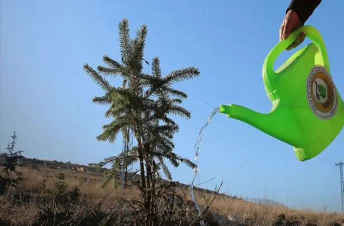 İmamlar, cemaatle fidan dikecek