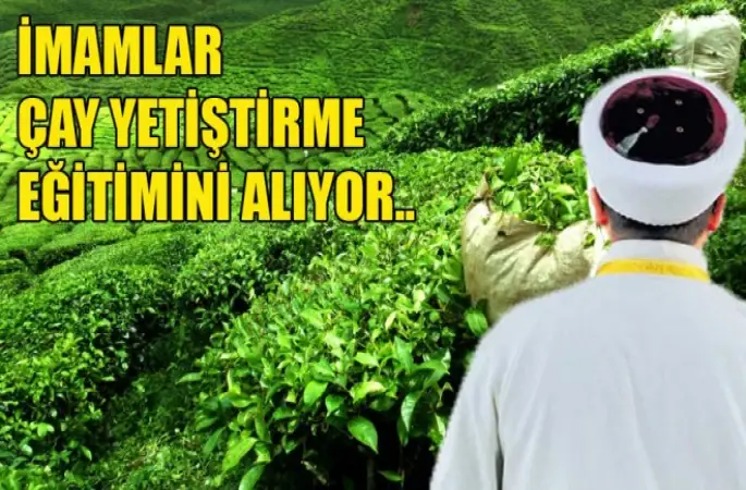 İmamlar çay yetİştirme Eğitimini Alıyor..