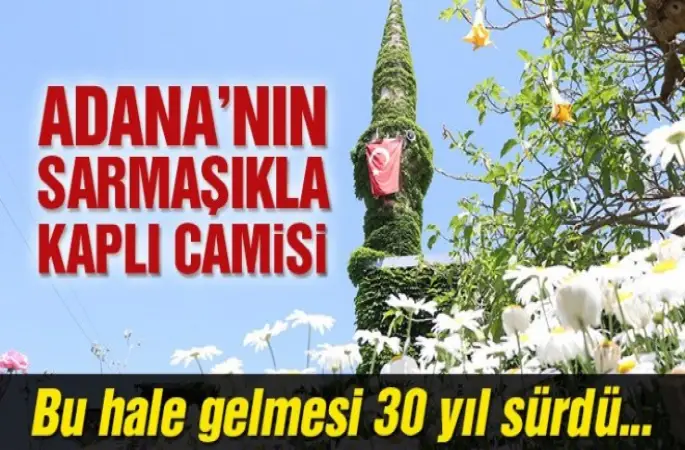 Adana'da sarmaşıklarla kaplı Yeşil Cami