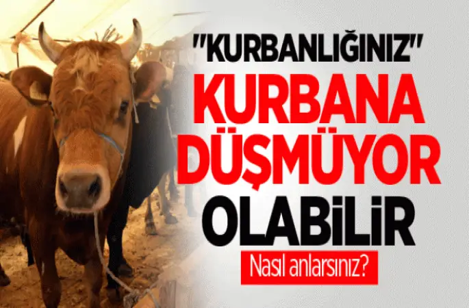 Kurbanlıklar kurbana düşüyor mu?