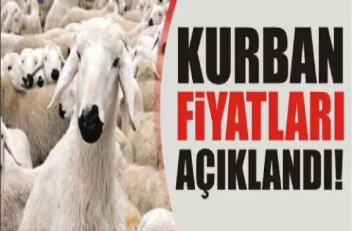 2016 Kurbanlık fiyatları ne kadar?