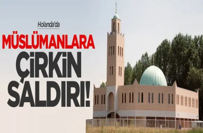 Hollanda’da cami bahçesine domuz başı attılar