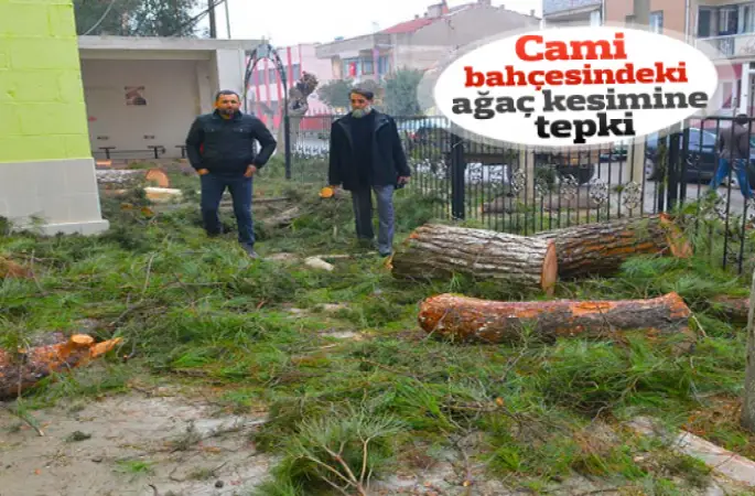 Cami Bahçesindeki ağaçlar kesilince kriz Çıktı