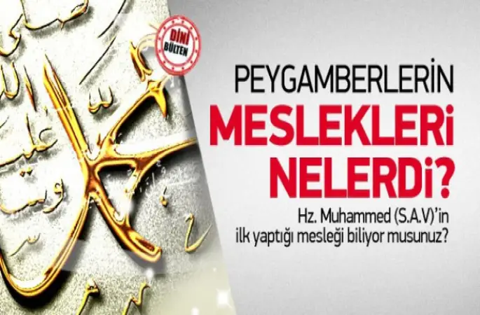 Peygamberlerin Meslekleri
