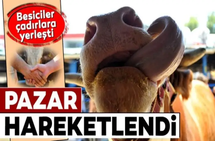 Kurbanlık pazarı hareketlendi