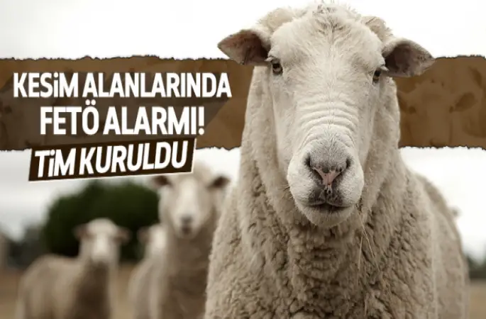 Kurban kesim alanlarında FETÖ için tim kuruldu