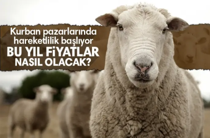 Kurbanlık ,Alımlarında ve Kesimlerinde Dikkat Edilecek Hususlar
